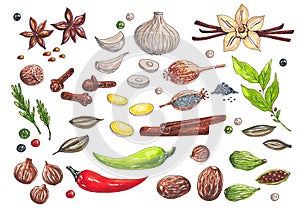 Hand drawn big set with watercolor markers different types of spices