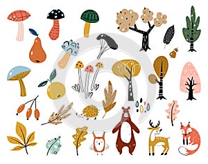 Hand drawn big vector set of various types of mushrooms, autumn leaves, rowan, acorn and chestnut. Big set of cute