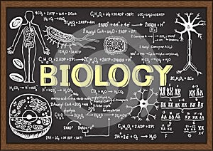 Hand drawn biology on chalkboard. photo