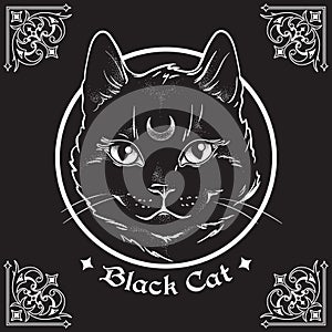 Hand drawn black cat with moon on his forehead in frame over black background and ornate gothic design elements. Wiccan familiar s photo