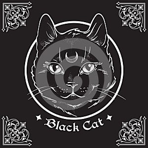 Hand drawn black cat with moon on his forehead in frame over black background and ornate gothic design elements. Wiccan familiar s