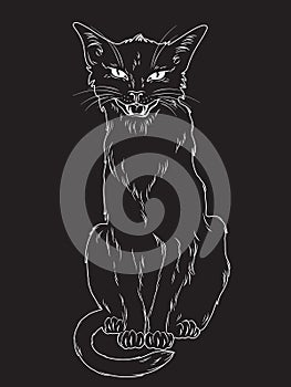Hand drawn black cat over black background. Wiccan familiar spirit, pagan witchcraft theme design vector illustration.