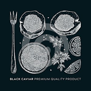 Hand-drawn black caviar sketches set isolated on chalkboard. Black caviar in opened tin can, caviar canape, lemons, spices vector