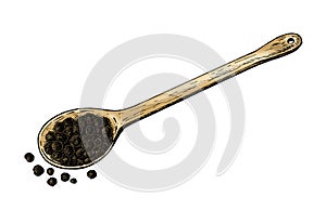 Hand drawn black peppercorn on measuring spoon