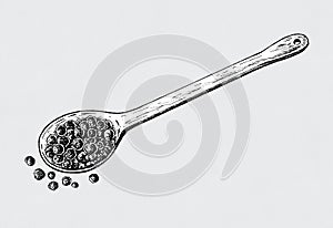 Hand drawn black peppercorn on teaspoon