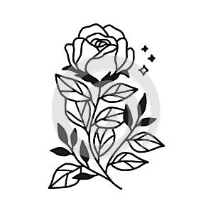 Hand drawn black rose flower and leaf illustration. Line art of nature floral leaves element for icon, clip art or logo