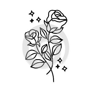 Hand drawn black rose flower and leaf illustration. Line art of nature floral leaves element for icon, clip art or logo