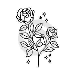 Hand drawn black rose flower and leaf illustration. Line art of nature floral leaves element for icon, clip art or logo