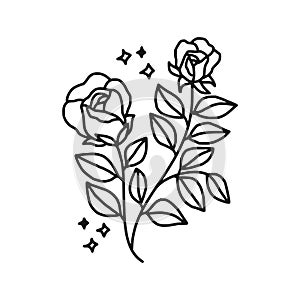 Hand drawn black rose flower and leaf illustration. Line art of nature floral leaves element for icon, clip art or logo