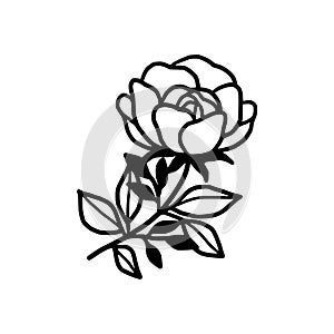 Hand drawn black rose flower and leaf illustration. Line art of nature floral leaves element for icon, clip art or logo