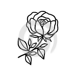 Hand drawn black rose flower and leaf illustration. Line art of nature floral leaves element for icon, clip art or logo