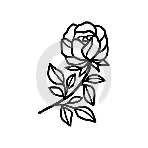 Hand drawn black rose flower and leaf illustration. Line art of nature floral leaves element for icon, clip art or logo