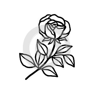 Hand drawn black rose flower and leaf illustration. Line art of nature floral leaves element for icon, clip art or logo