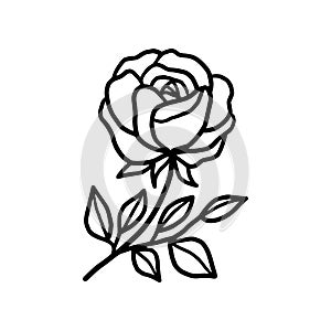 Hand drawn black rose flower and leaf illustration. Line art of nature floral leaves element for icon, clip art or logo