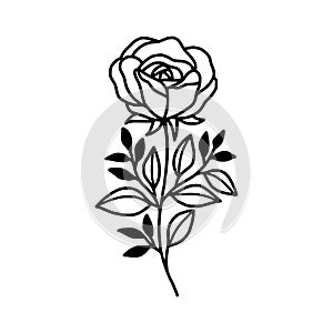 Hand drawn black rose flower and leaf illustration. Line art of nature floral leaves element for icon, clip art or logo