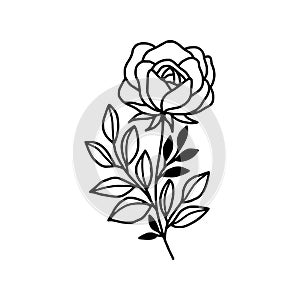 Hand drawn black rose flower and leaf illustration. Line art of nature floral leaves element for icon, clip art or logo