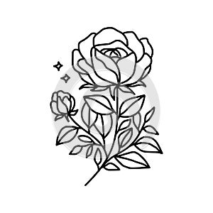 Hand drawn black rose flower and leaf illustration. Line art of nature floral leaves element for icon, clip art or logo