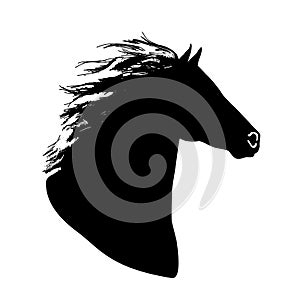 Hand drawn black vector horse head logo silhouette.