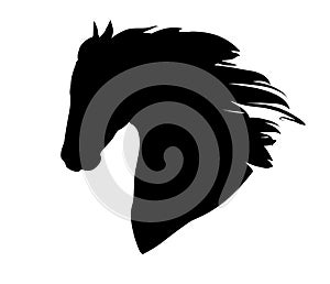 Hand drawn black vector horse head logo silhouette.