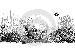 Hand drawn black and white coral border