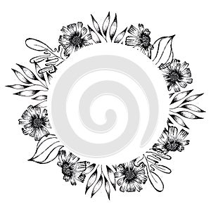 Hand drawn Black and White Ink Leaves and Flowers Background Round Frame