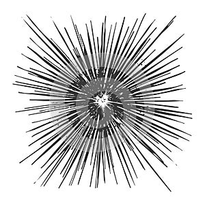 Abstract Black and White Radial Burst Design for Background photo