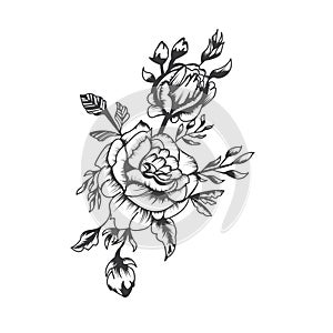 Hand drawn black white roses for tatto or t-shirt graphic resources, vector photo