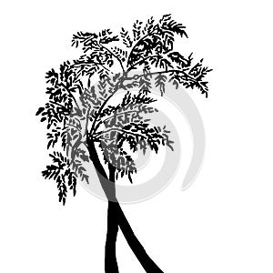 Hand drawn Black and White Tree Silhouette Element