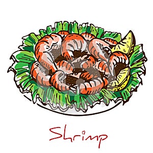 Hand drawn boiled prawn or shrimp with lettuce and lemon slices isolated on white background. Colorful sketch drawing of