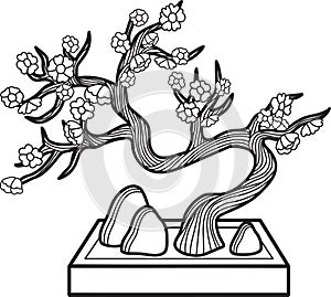 Hand Drawn bonsai tree with stones illustration