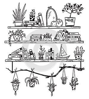 Hand drawn bookshelves with books, houseplants and little souvenirs. A cosy place