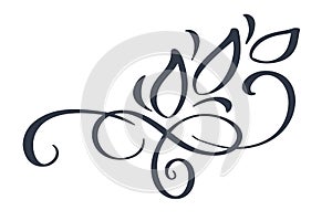 Hand drawn border flourish separator Calligraphy designer elements. Vector vintage wedding illustration Isolated on