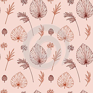 Hand drawn botany seamless pattern with dried palm leaves and pampas grass. Vector illustration in sketch style. Modern floral