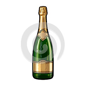 Hand drawn Bottle of champagne. Vector illustration isolated on white