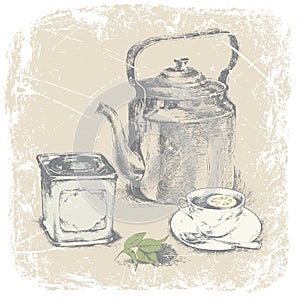 Hand drawn of box of tea, cup of tea, tea leaves,lemon.vector illustration