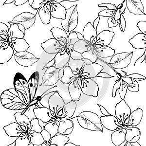 Hand drawn branch of cherry blossom, pear, apple tree with butterfly. Vector seamless pattern of spring flowers for the anti stres