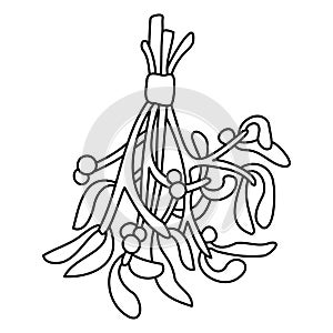 Hand drawn branch of Christmas mistletoe line art vector illustration. Black and white minimalist botanical graphic