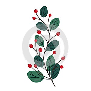 Hand drawn branch with leaves and berries isolated on white background. Decorative doodle sketch illustration. Vector element