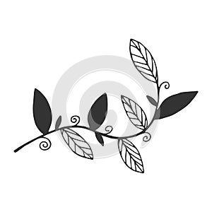 Hand drawn branch with leaves isolated on white background. Decorative doodle sketch illustration. Vector floral element