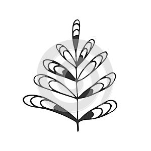 Hand drawn branch with leaves isolated on white background. Decorative doodle sketch illustration. Vector floral element