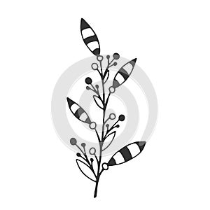 Hand drawn branch with leaves isolated on white background. Decorative doodle sketch illustration. Vector floral element