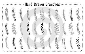Hand Drawn Branches
