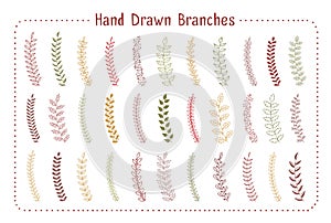 Hand Drawn Branches