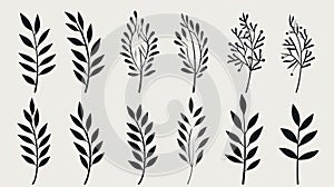 Hand Drawn Branching Vector Set With Minimalistic Symmetry