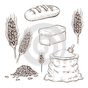 Hand drawn breads, flour bag and wheatears set isolated on white. sketch illustration of square whole grain bread, wheat