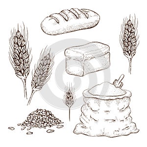 Hand drawn breads, flour bag and wheatears set isolated on white. vector sketch illustration of square whole grain bread