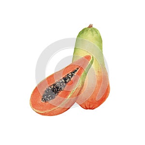 Hand drawn brigt colorful watercolor papaya isolated photo