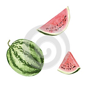 Hand drawn brigt colorful watercolor watermelon isolated photo