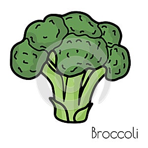 hand drawn broccoli illustration with sign. isolated on a white background. Vector