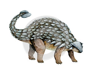 Hand drawn brown gray watercolor Ankylosaurus dinosaur illustration. Prehistoric herbivorous animal from Cretaceous